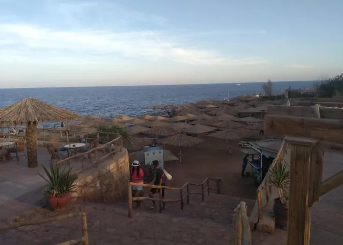 Tropicana Tivoli 4*